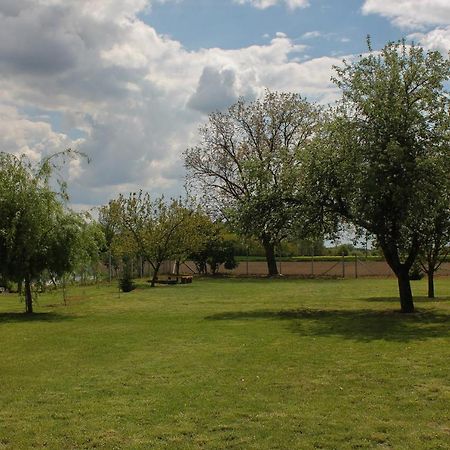 Das Blaue Haus Vendégház - Kovácshida Apartman Kültér fotó